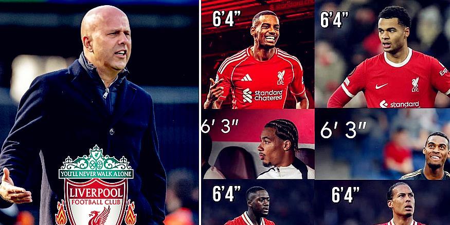 技术优势来 技术优势来